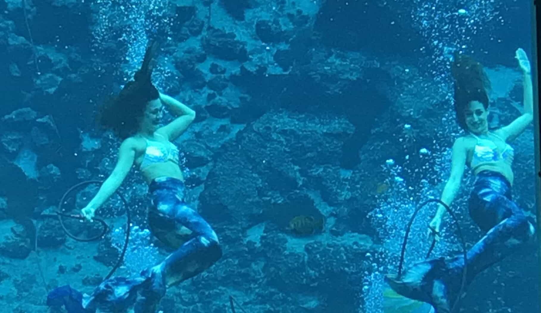 Spending The Day At Weeki Wachee Springs