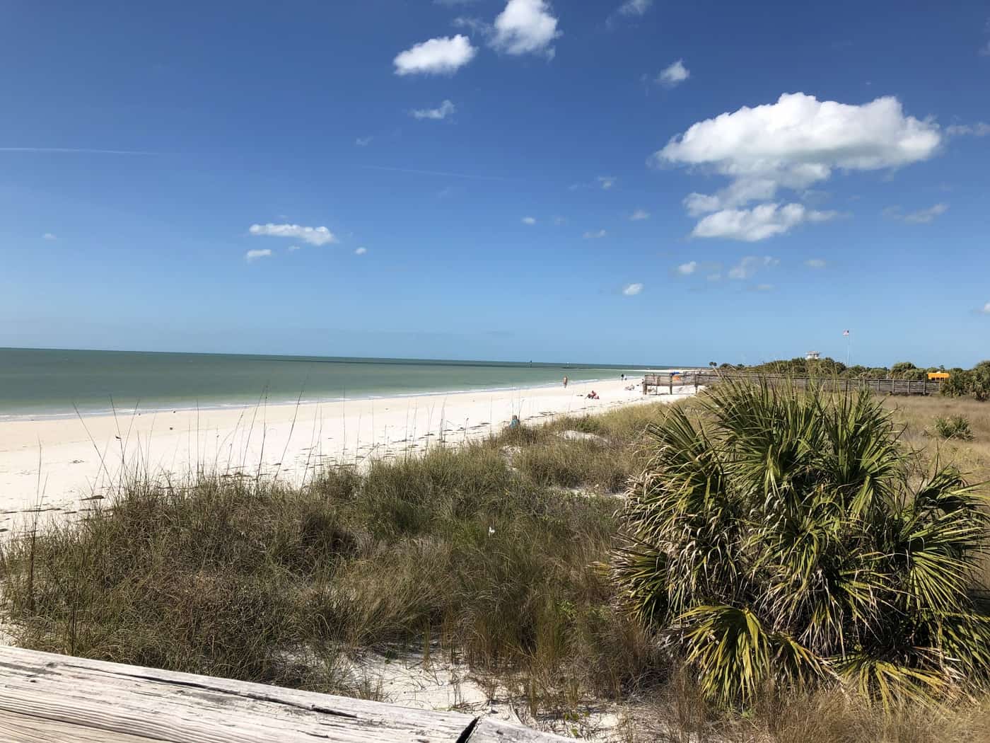Visiting Honeymoon Island State Park