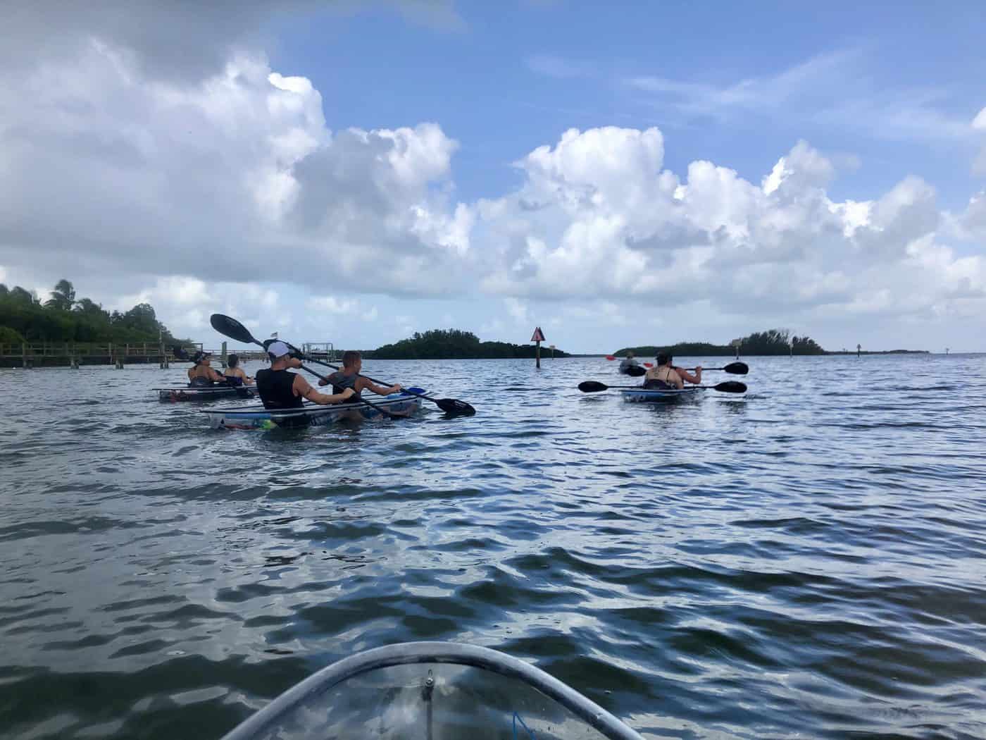 7 Fun Things To Do Outdoors In Tampa Bay