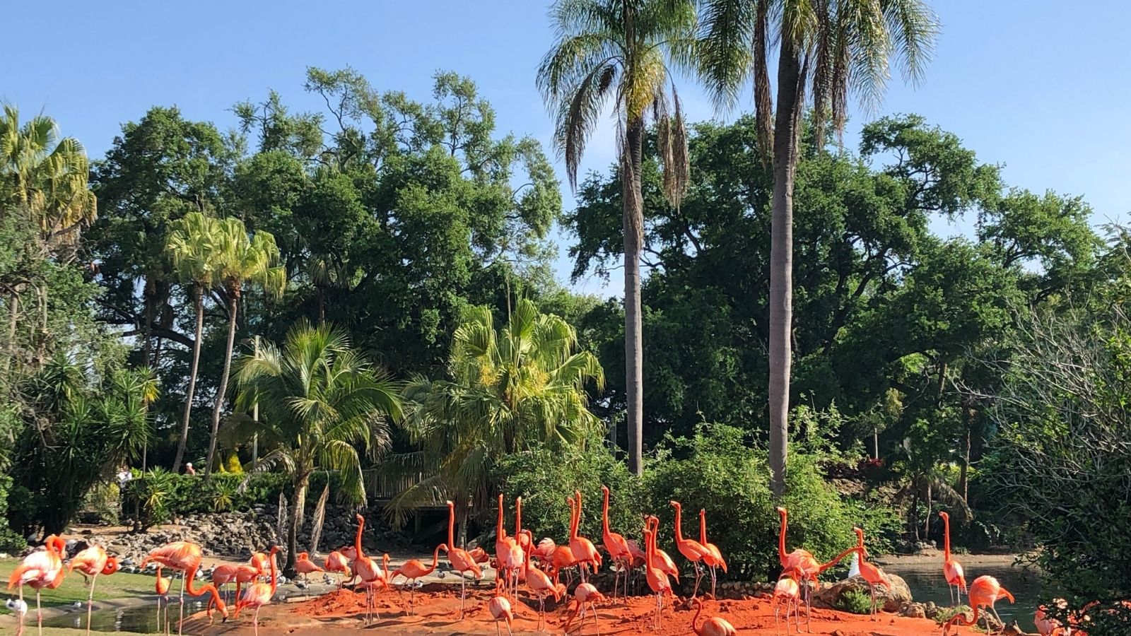 Fun Getaways and Day Trips From Tampa